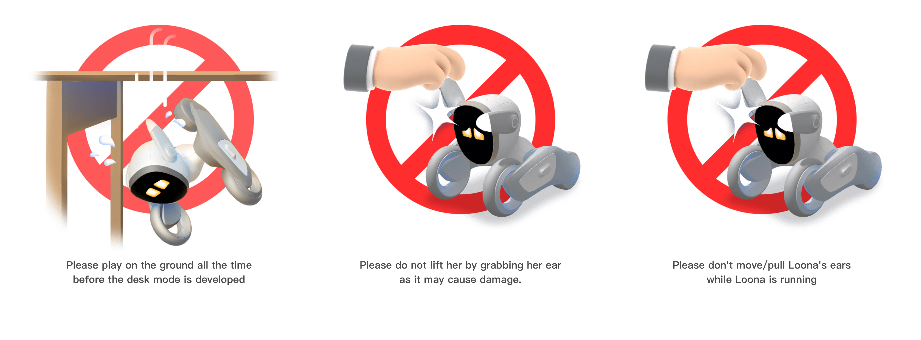 ear.jpg